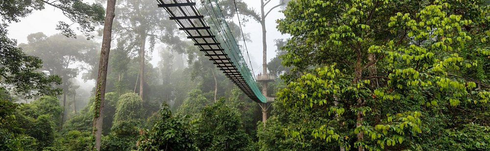 Danum Valley