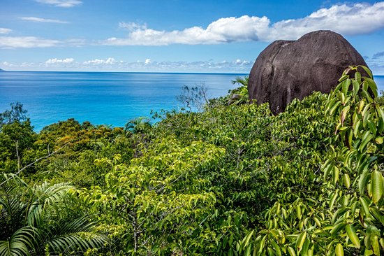Morne Seychellois