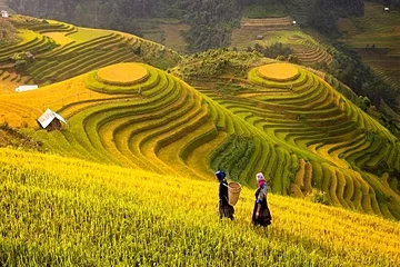 Sapa et les montagnes du nord Vietnam
