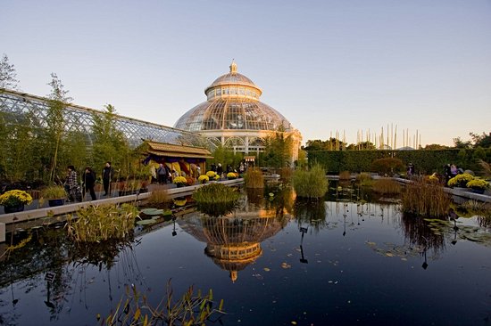 Jardin botanique de New York