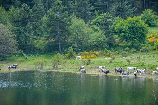Parc national de la Sila