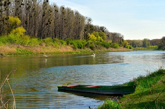 Le parc national Danube-Auen