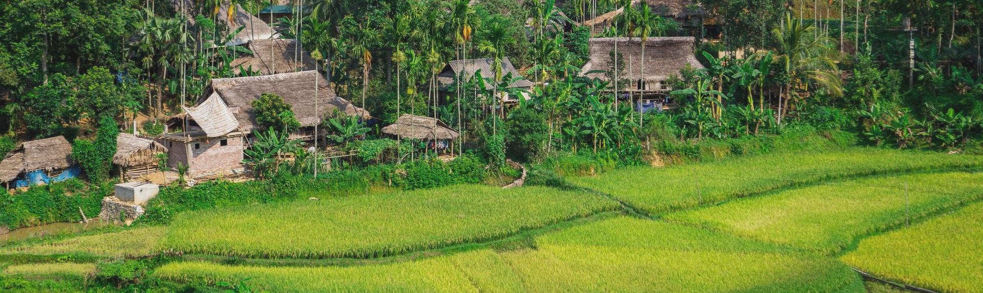 Vietnam
