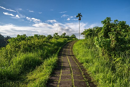 Campuhan Ridge Walk