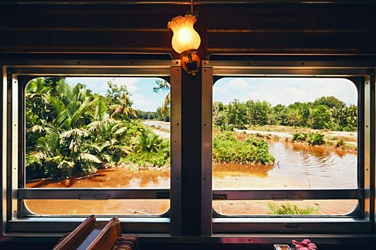 Train de la jungle