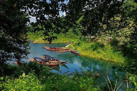 Partir en randonnée dans la forêt du parc
