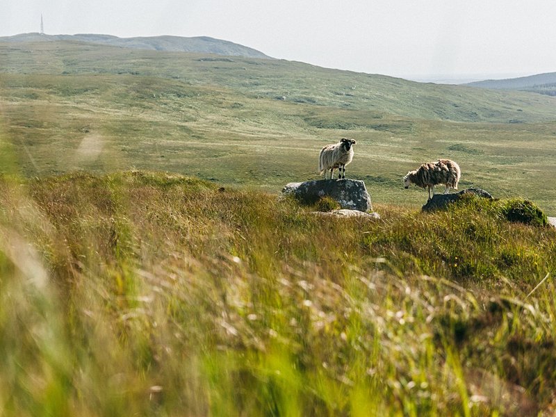 Connemara National Park