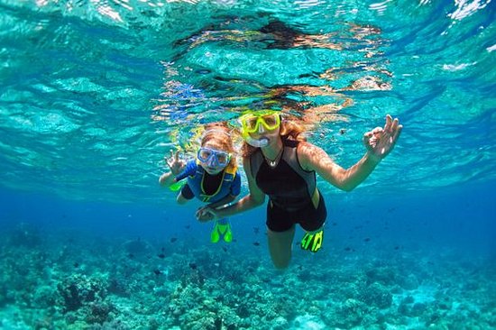 Partir en excursion de snorkeling