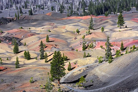 Dunes peintes