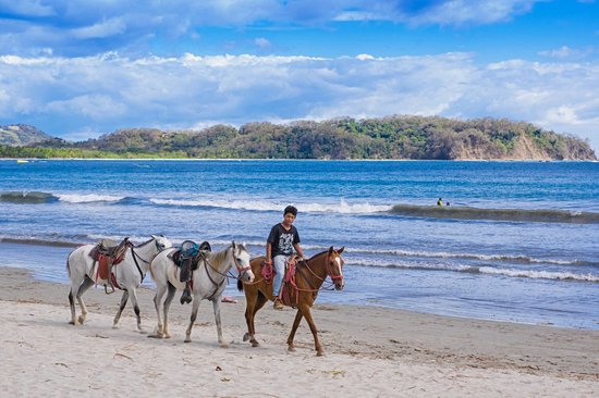 Samara et la péninsule de Nicoya