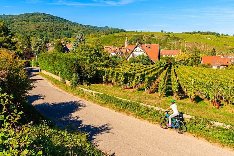 Route des vins d'Alsace - France
