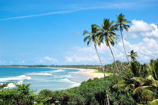 Bentota