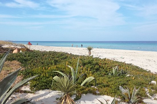 Les plages de la Mahdia