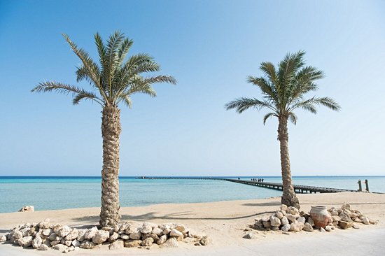 Baie de Soma, Safaga