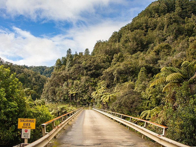Forgotten World Highway