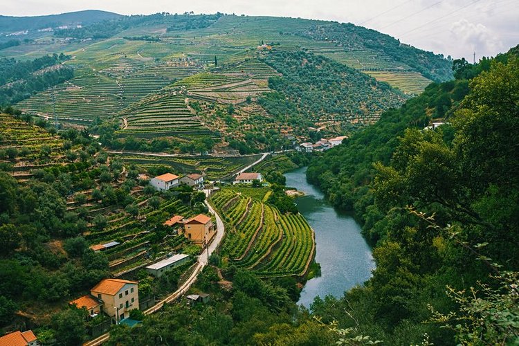 Vallée du Douro