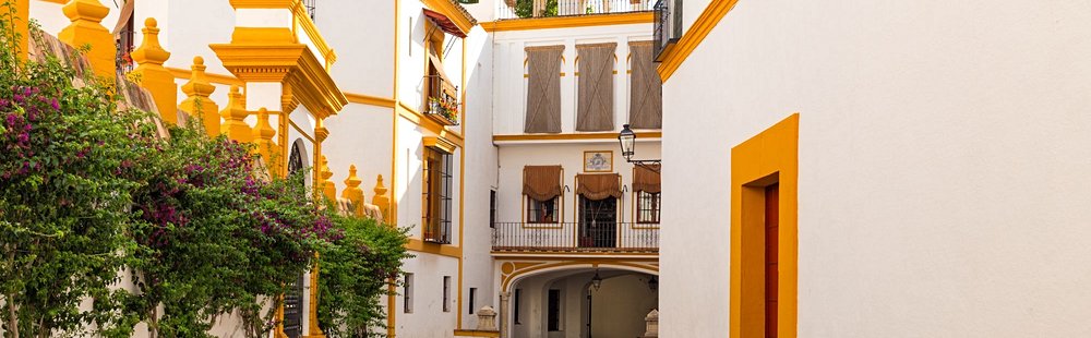 Le quartier de Santa Cruz