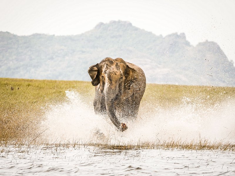 Le parc national de Maduru Oya
