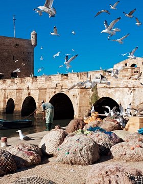 Les plus beaux lieux de Essaouira