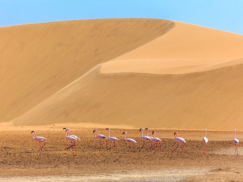 Désert du Kalahari