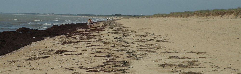 La plage du Bois Soret