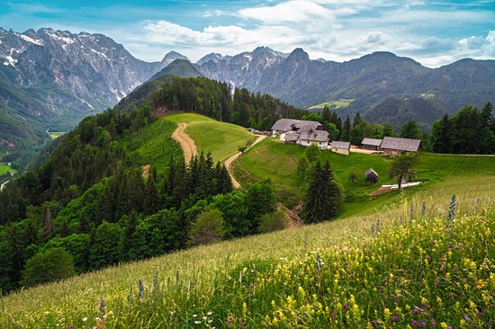 Logarska dolina
