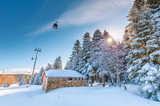 Parc national de l'Uludag