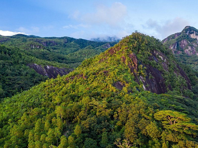 Morne Seychellois