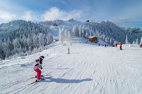 Aller aux sports d’hiver à Poiana Brasov
