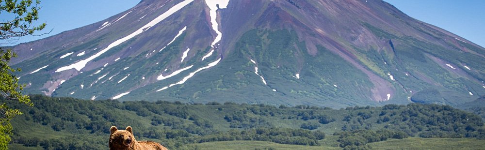 Le Kamtchatka
