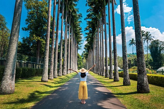 Jardin botanique de Peradeniya