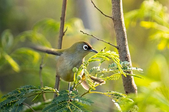 Découvrir la faune locale en famille