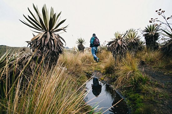 Parc national naturel de Chingaza