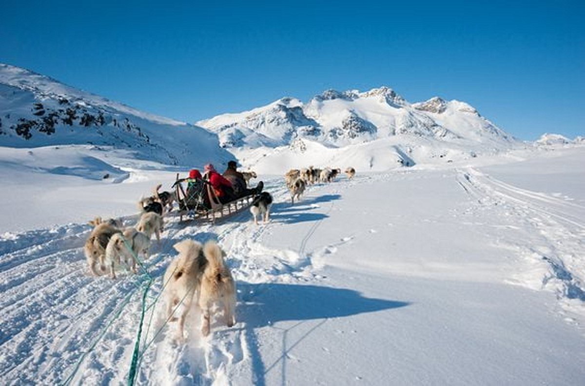 Faire du chien de traineau