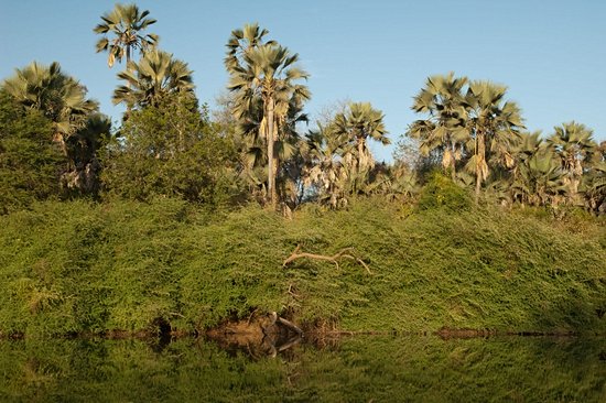 Tambacounda