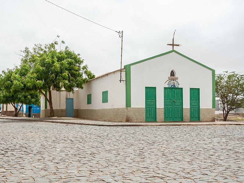 Palmeira