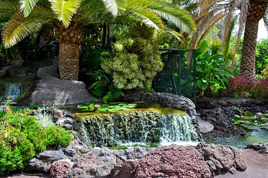 Jardin botanique de Fuerteventura