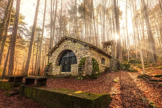 Forêt de Vizzavona