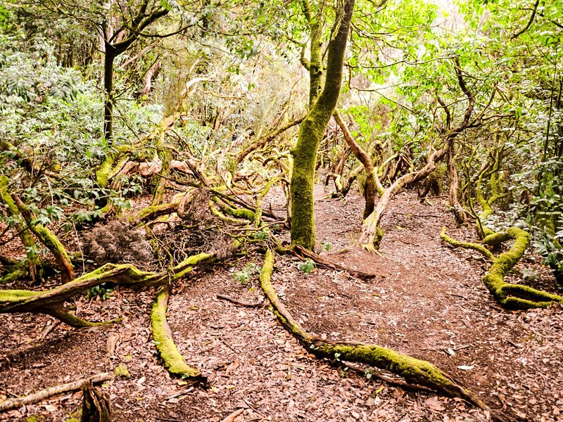 Le mirador Cabezo del Tejo