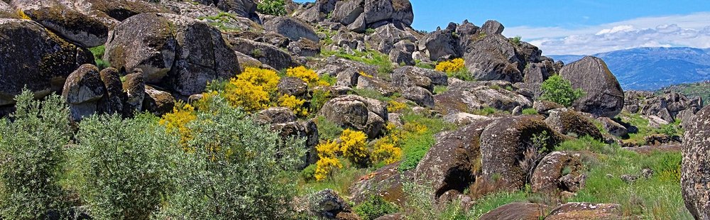 Parc naturel de Serra da Estrela