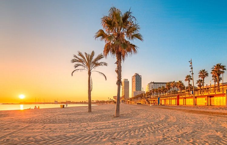 La Barceloneta