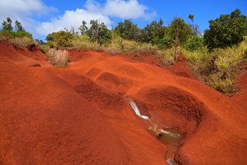 Parc d'État du Waimea Canyon