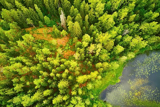 Parc national de Sipoonkorpi