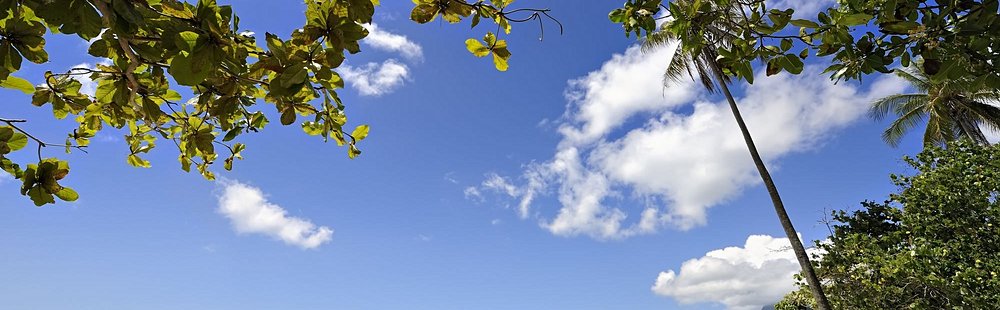Plage de Temea, Moorea