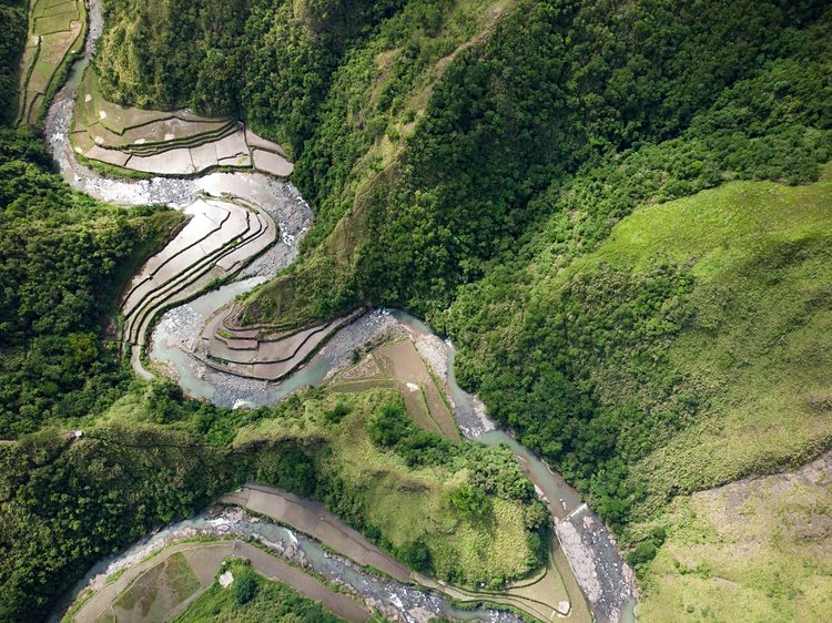 Province d'Ifugao et ses rizières 3