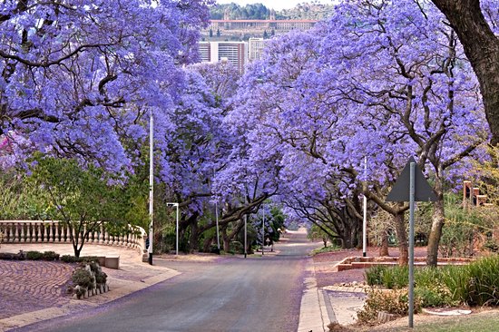 Pretoria