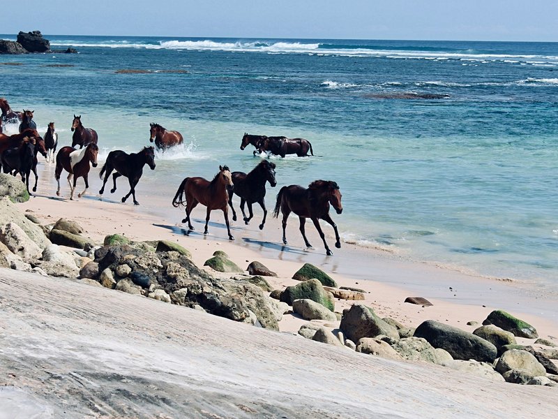 Sumba