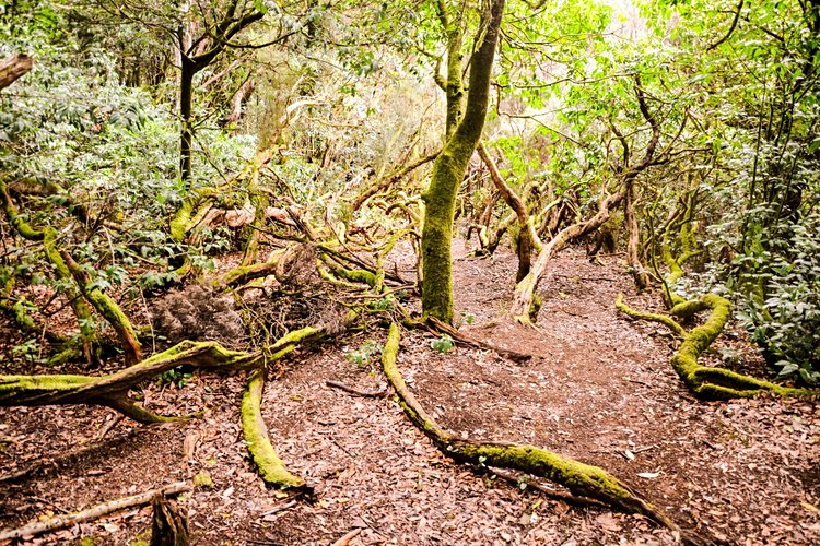 Le mirador Cabezo del Tejo 3