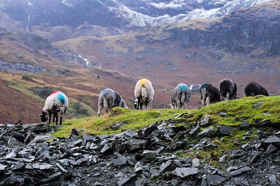 Parc national du Lake District