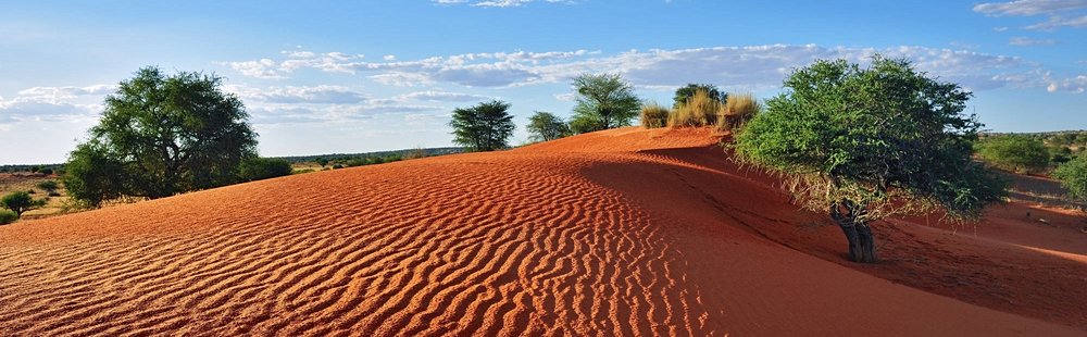 Désert du Kalahari